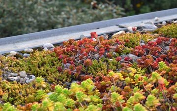 the cost of Lydford On Fosse green roof installation