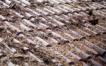 Lydford On Fosse roof cleaning companies