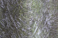 Lydford On Fosse fibreglass roof work